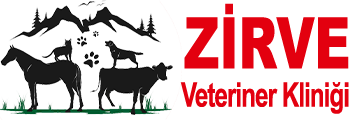 Zirve Veteriner Hekim Muayenehanesi